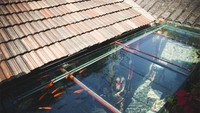Kalau restoran yang satu ini, punya konsep yang sangat unik. Atap restoran dirubah menjadi kolam ikan koi, sehingga para pengunjung bisa makan sambil menikmati pemandangan ikan koi yang berenang di atas kepala mereka. Foto: Pool/Site News