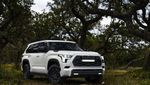 Lihat Lebih Dekat Wujud SUV Hybrid Terbaru Toyota Sequoia 2023