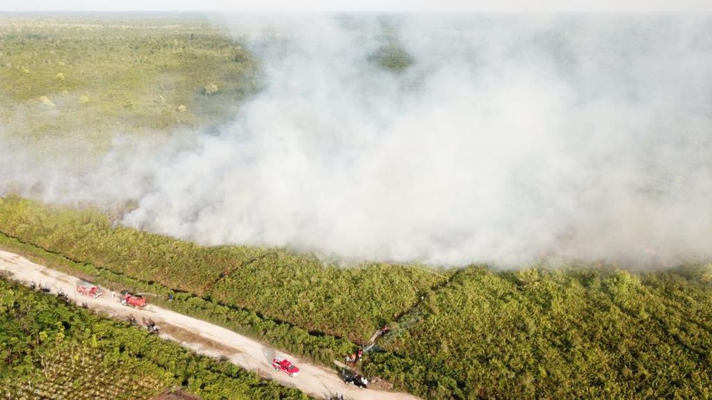 4 Hektare Lahan Gambut di Riau Terbakar, Pemadaman Terkendala Angin Kencang