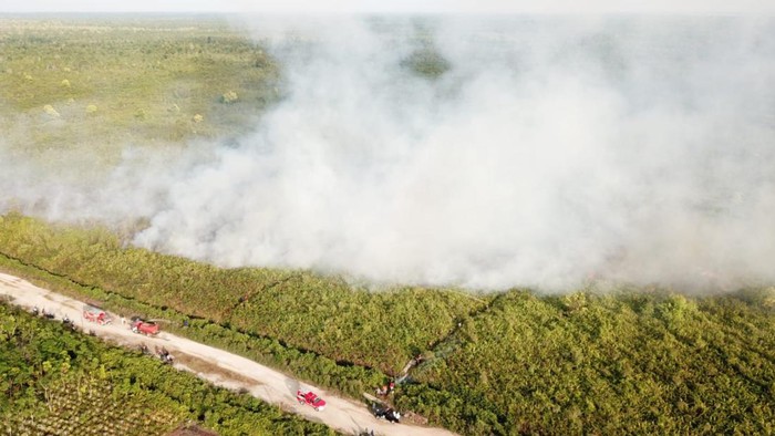 4 hektare lahan gambut di Bengkalis Riau terbakar