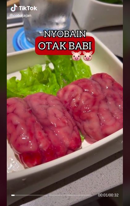 Makan otak babi