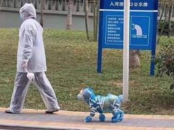 Ragam Cara Lindungi Diri di Awal Pandemi, Bikin Terkenang Kembali