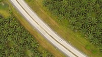 Tol sepanjang 11,8 km itu diharapkan dapat membawa dampak positif terhadap perekonomian Sumatra Utara (Sumut). Sebab, alur distribusi barang dan kendaraan kini dapat dijangkau dengan mudah melalui keberadaan Tol Binjai-Stabat.Foto: Dok. PT Hutama Karya (Persero)
