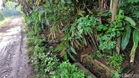 Diberitakan, puluhan tahun saluran irigasi yang seharusnya mengairi sekitar 30 hektar lahan sawah di Kampung Cilulumpang dan Ciseupan, Desa Kertamukti, Kecamatan Warungkiara, Kabupaten Sukabumi, dibiarkan rusak.   