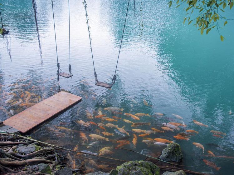 Potret 5 Wisata Alam Paling Top di Jawa Barat