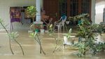 Potret Banjir Pekalongan Dari Udara