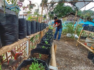 Giat Warga Cileunyi Bangun Kebun Bantu Ketahanan Masyarakat
