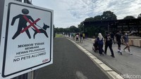 Tidak semua pintu kawasan GBK dibuka untuk keluar masuk pengunjung.