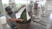 Yang menarik, Rumah Atsiri Indonesia tidak mengubah struktur bangunan lama, sehingga masih terasa nuansa bangunan tahun 1960-an. Hanya fungsinya saja yang berubah, seperti bengkel kini menjadi restoran, ruangan boiler menjadi museum dan ruang destilasi sebagai toko merchandise. 