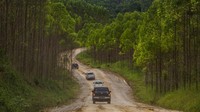 Sejumlah mobil melintas di jalan kawasan Ibu Kota Negara (IKN) Nusantara di Kecamatan Sepaku, Kabupaten Penajam Paser Utara, Kalimantan Timur, Minggu (6/2/2022).   