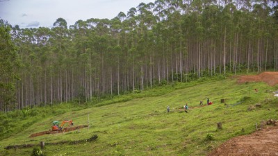 Penampakan Lokasi Berkemah Jokowi di Titik Nol IKN Nusantara