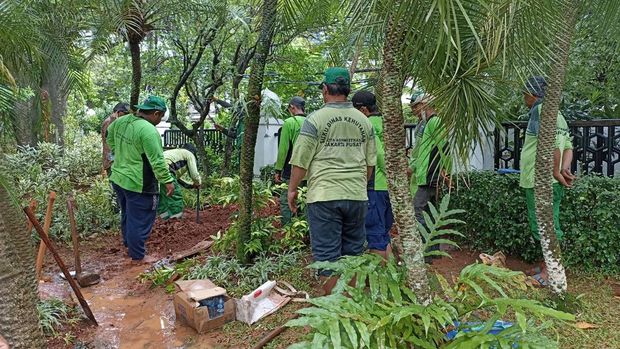 Petugas Dinas Kehutanan DKI Jakarta sedang menggali liang lahat  untuk jenazah mertua Sandiaga, Abzul Aziz Marzuki, di kebun Masjid Attaqwa Sriwijaya, Kebayoran Baru, Jaksel, Minggu (6/2/2022).