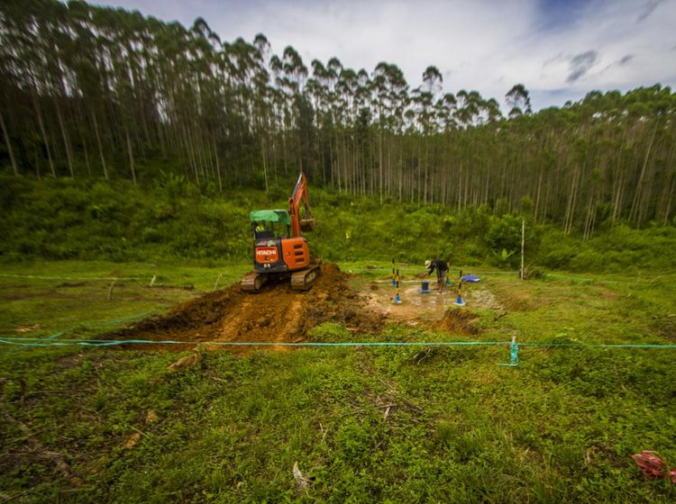 Titik Nol IKN, Lokasi yang Akan Jadi Tempat Kemah Presiden Jokowi