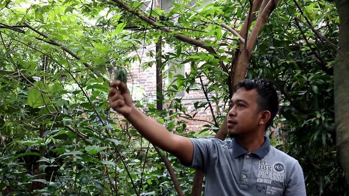 Pemilik aviari di Majalengka Yudi Praselo