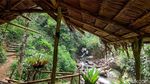 Trekking di Sentul Bonus Nikmati Segar-Asrinya Curug Ciburial, Mau?