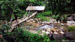 Trekking di Sentul Bonus Nikmati Segar-Asrinya Curug Ciburial, Mau?