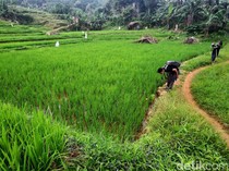 Lepas Penat di Akhir Pekan, Trekking Seru dengan Panorama Memukau