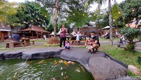 Bisa dong membayangkan keseruan memberi makan ikan dan melihat ikan kumpul berebutan di dekat kita? Asli, ini seru banget! Kalau kata anak-anak gaul sekarang, ini healing banget melihat ikan warna-warni di dekat kita.