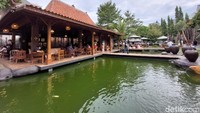 Nih, menarik nih untuk traveler yang datang bersama keluarga. Bi Coffee punya kolam ikan dengan puluhan ikan mas di dalamnya. Mulai dari ikan kecil sampai besar berenang ke sana kemari di dalam kolam.