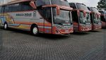 Bikin Mania Terkecoh, Ini Potret Bus MHD Rosalia Indah yang Menyerupai Double Decker
