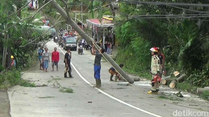 Evakuasi pohon tumbang di Jalur Banjarnegara-Dieng, Senin (7/22/2022). Pohon ini tumbang disapu angin kencang.
