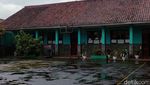 Sadis! Guru SD Bandung Tewas Ditusuk Mantan Suami di Sekolah