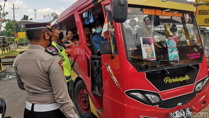 kereta kelinci