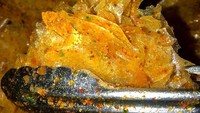 Toko online yang berada di Garut, Jawa Barat ini juga menawarkan keripik kaca dengan harga terjangkau. Namanya @jajansnack123. Walau murah, kualitas keripik kaca di sini tak murahan karena bumbunya juga melimpah. Harganya mulai dari Rp 6.000 per 100 gram. Foto: Instagram @jajansnack123
