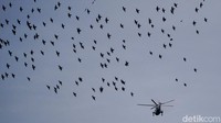 Helikopter Marine One yang membawa Presiden Joe Biden terbang tak jauh dari sekumpulan burung jalak, di Washington DC, AS , Minggu (30/1/2022). Sejak Era Yunani Kuno, dapat terbang seperti burung adalah mimpi besar. Bukan sekedar kuat melawan grafitasi, melainkan bernilai kebebasan tanpa batas teritori. (AP Photo/Carolyn Kaster)
