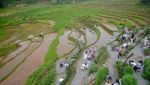 Satu Lagi Nih, Kuliner di Antara Hamparan Sawah