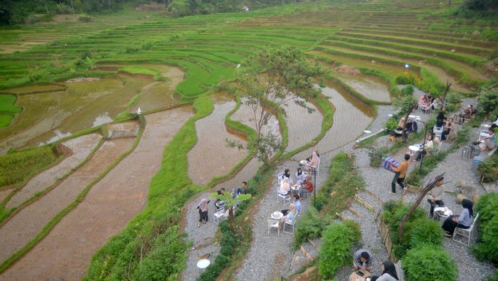 PENGEMBANGAN WISATA KULINER DI PEDESAAN Sejumlah pengunjung menikmati kuliner di antara hamparan sawah pedesaan di Nagari Tanjung Haro Sikabu-kabu, Kabupaten Limapuluhkota, Sumatera Barat, Minggu (6/2/2022). Desa yang berada di ketinggian 1.100 mdpl tersebut dikembangkan dengan membuat titik-titik wisata berbasis kuliner di kawasan sawah terasering. ANTARA FOTO/Iggoy el Fitra/wsj.