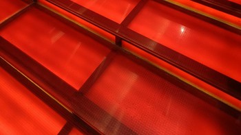 Hasil kamera Realme 9 Pro+. Foto: Istimewa