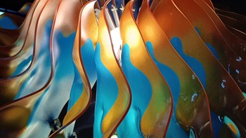 Hasil kamera Realme 9 Pro+. Foto: Istimewa