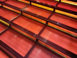 Hasil Kamera Realme 9 Pro+ Vs Xiaomi 12 Vs Galaxy S21 Ultra Vs Pixel 6