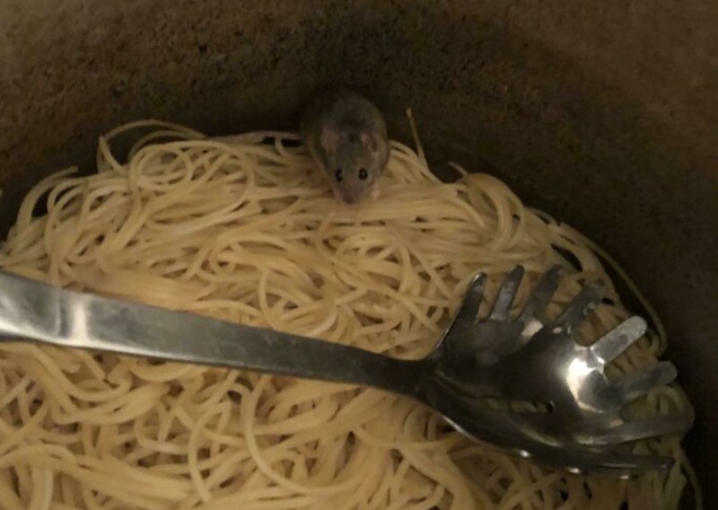 Potret Viral Kesialan