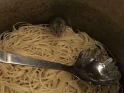 Momen Kesialan yang Tak Terduga, Miris dan Kocak