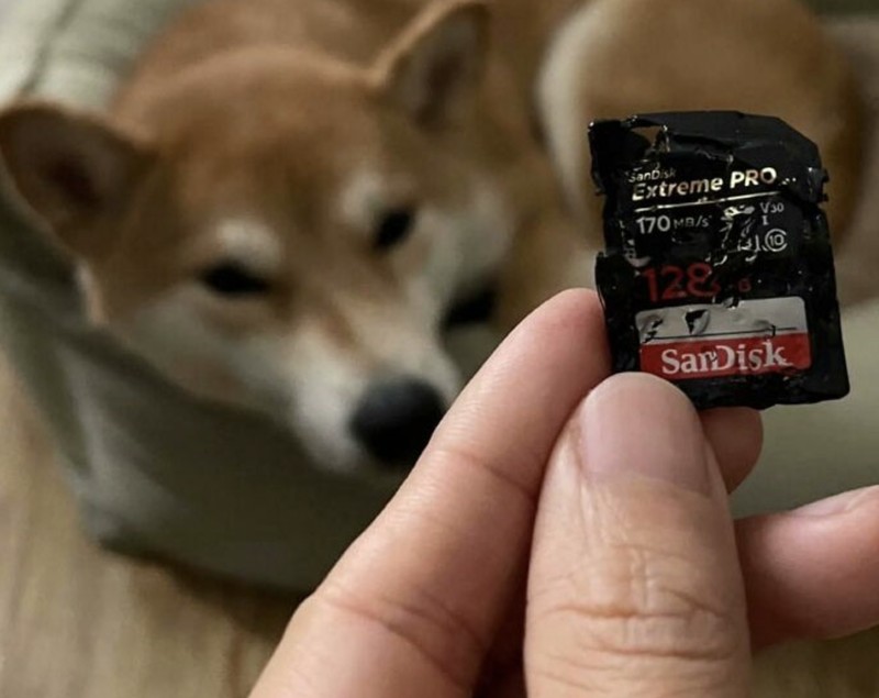 Potret Viral Kesialan