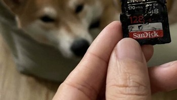 Semoga file di dalamnya sudah sempat diselamatkan. Foto: Bored Panda