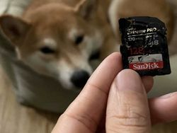 Momen Kesialan yang Tak Terduga, Miris dan Kocak