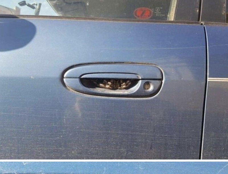 Potret Viral Kesialan