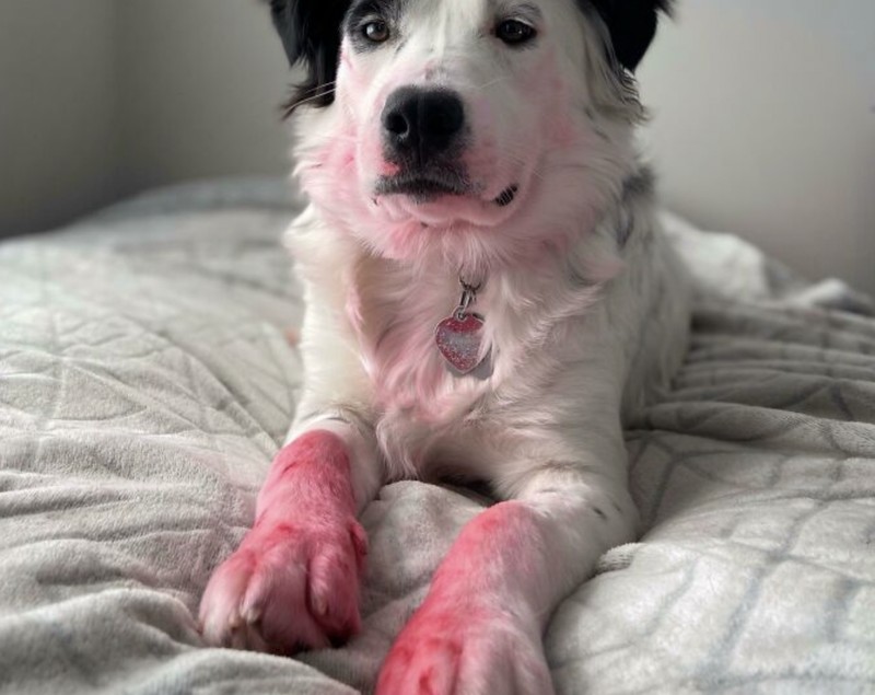 Potret Viral Kesialan