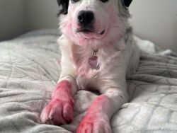 Momen Kesialan yang Tak Terduga, Miris dan Kocak