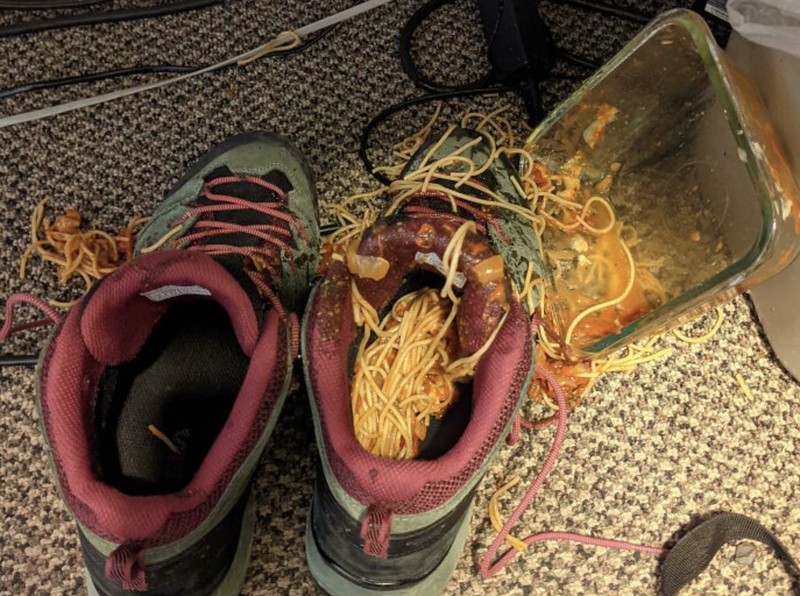 Potret Viral Kesialan