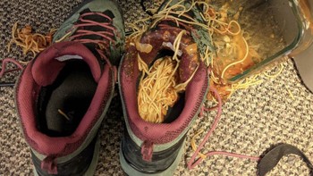 Sudah gagal makan enak, tumpahnya di dalam sepatu pula. Foto: Bored Panda