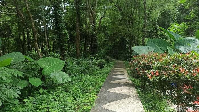 TWA Kerandangan