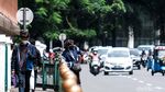 Waduh! Cari Jalan Pintas, Warga Panjat Pagar Stasiun Cikini