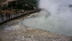 Terpikat Kemolekan Kawah Sikidang dan Candi Arjuna