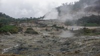 Seperti kawah-kawah yang lain, Kawah Sikidang juga tinggi akan kandungan sulfur ataupun belerang serta zat beracun lainnya. (ANTARA FOTO/Harviyan Perdana Putra)