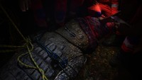 Kini buaya tersebut dilepaskan kembali ke sungai yang menjadi habitatnya. ANTARA FOTO/Mohamad Hamzah 