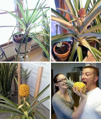 Foto before after kreativitas netizen